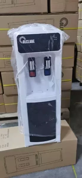 Water dispenser with the bottle